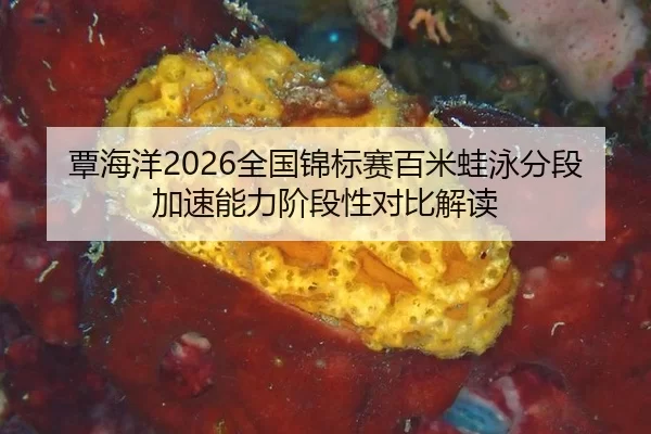 覃海洋2026全国锦标赛百米蛙泳分段加速能力阶段性对比解读