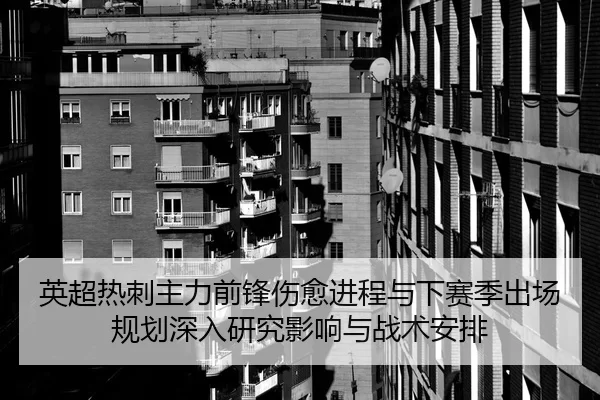 英超热刺主力前锋伤愈进程与下赛季出场规划深入研究影响与战术安排