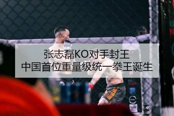 张志磊KO对手封王 中国首位重量级统一拳王诞生