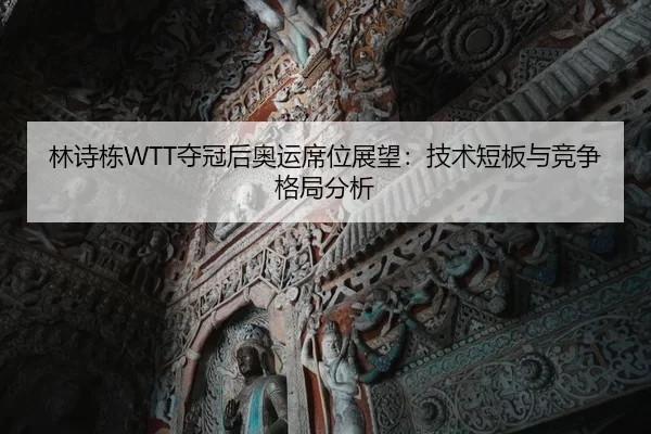 林诗栋WTT夺冠后奥运席位展望：技术短板与竞争格局分析